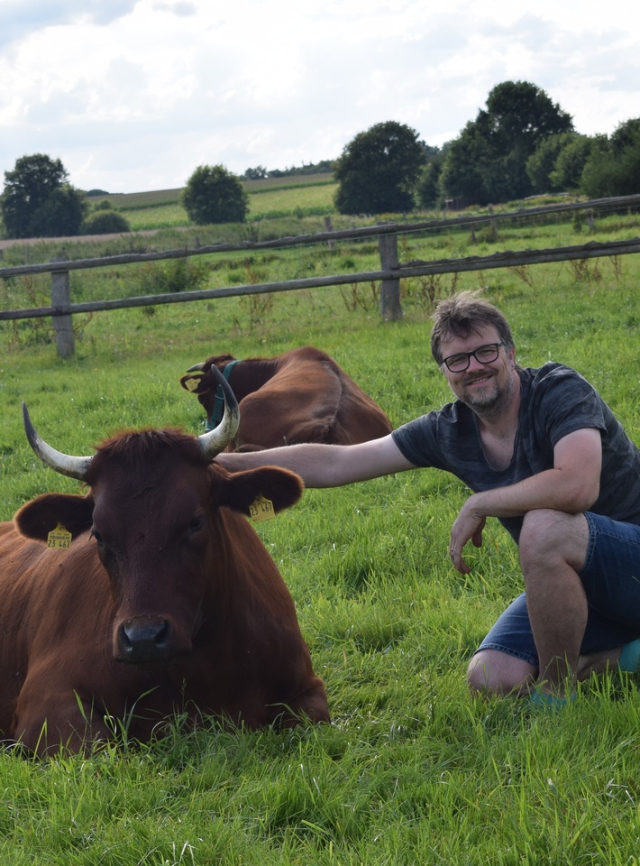 “Projekt-Fleisch”: Angler Rind a.Z.