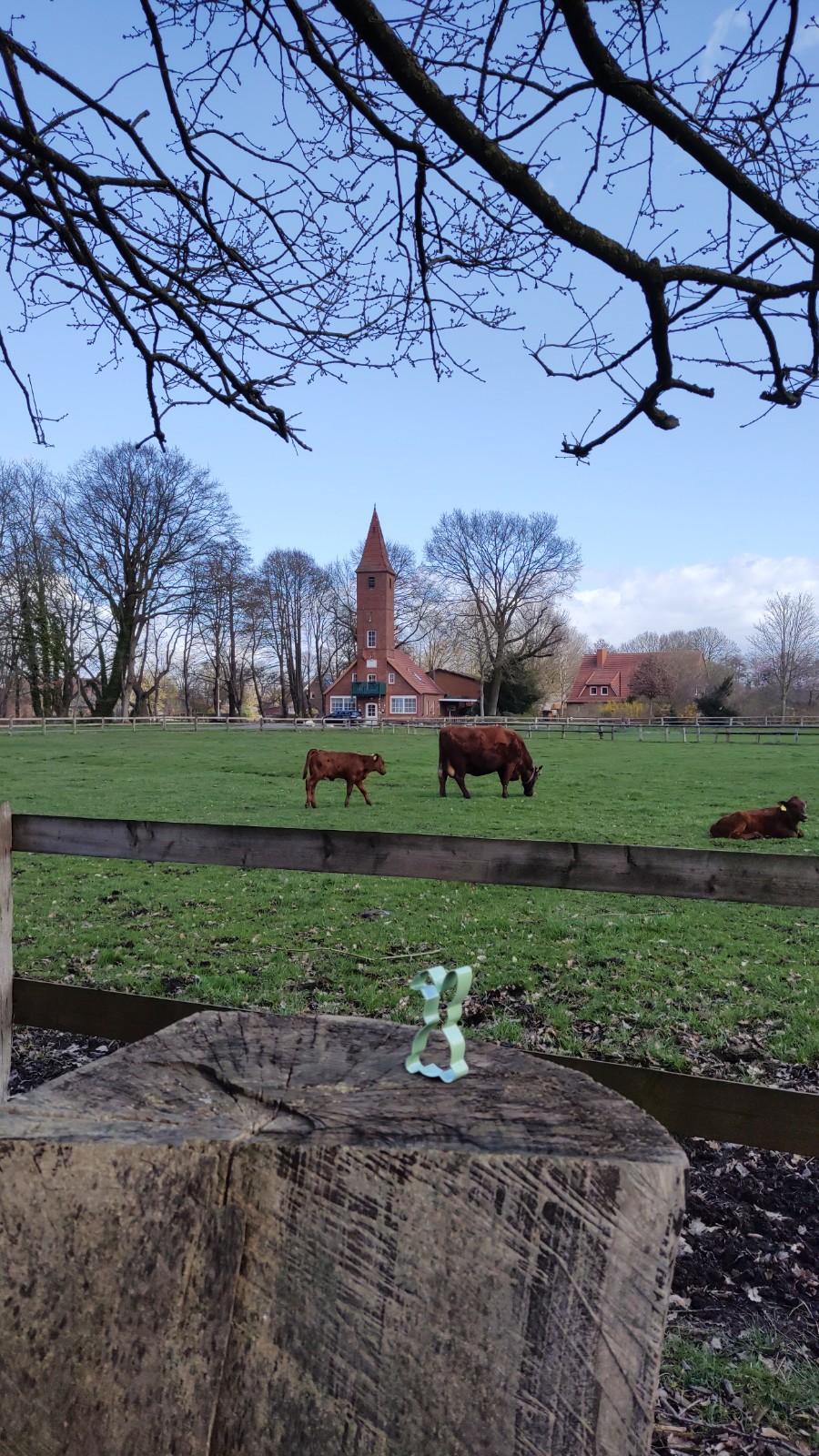 Reise zum LebensmittelPunkt – Ostern ’23