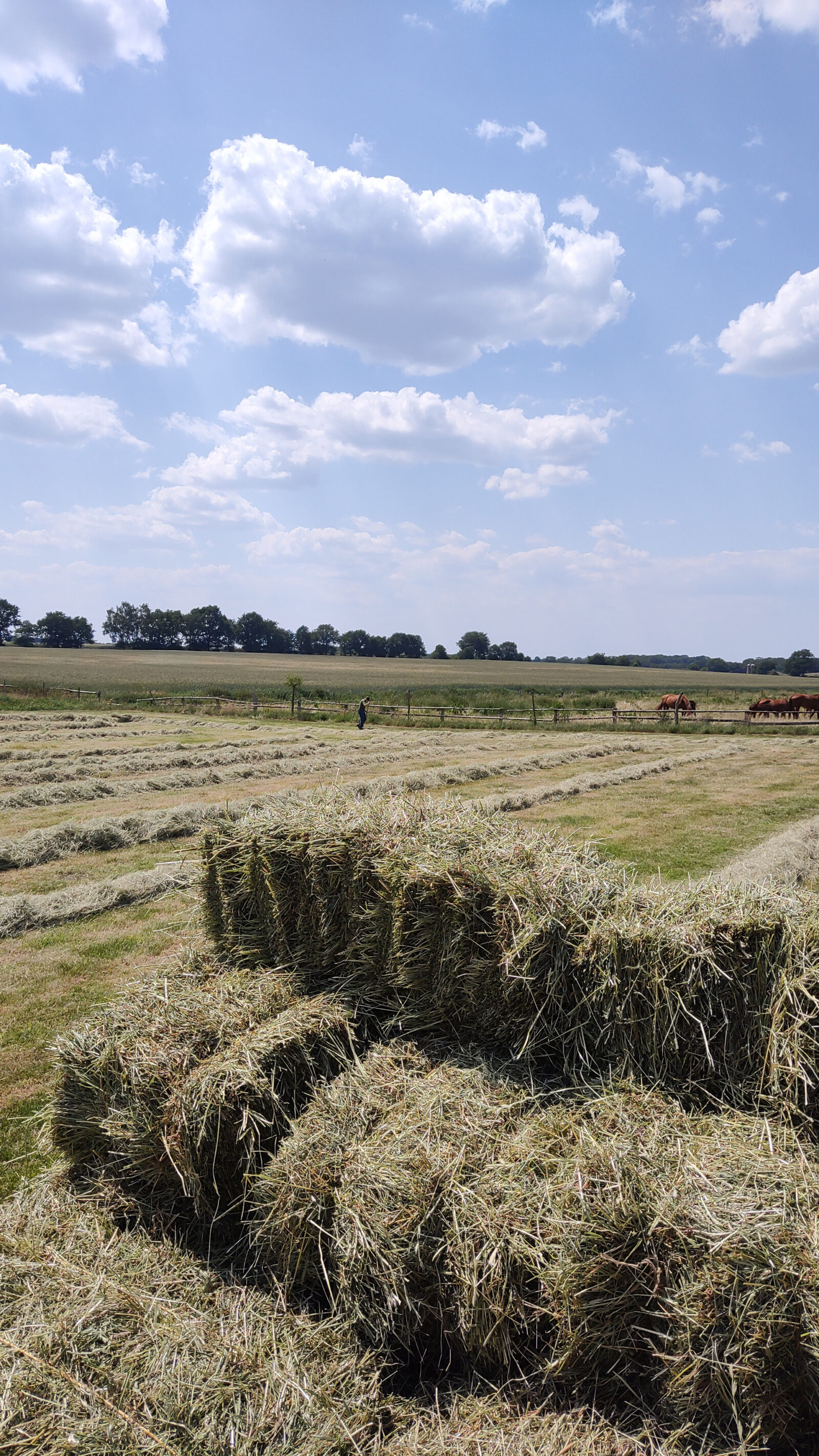 Reise zum LebensmittelPunkt – Juli ’23